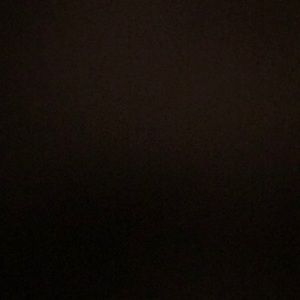 Meet your Posher, Wesley